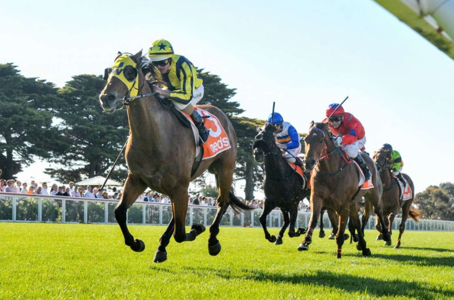 professional horse racing tips in Sydney